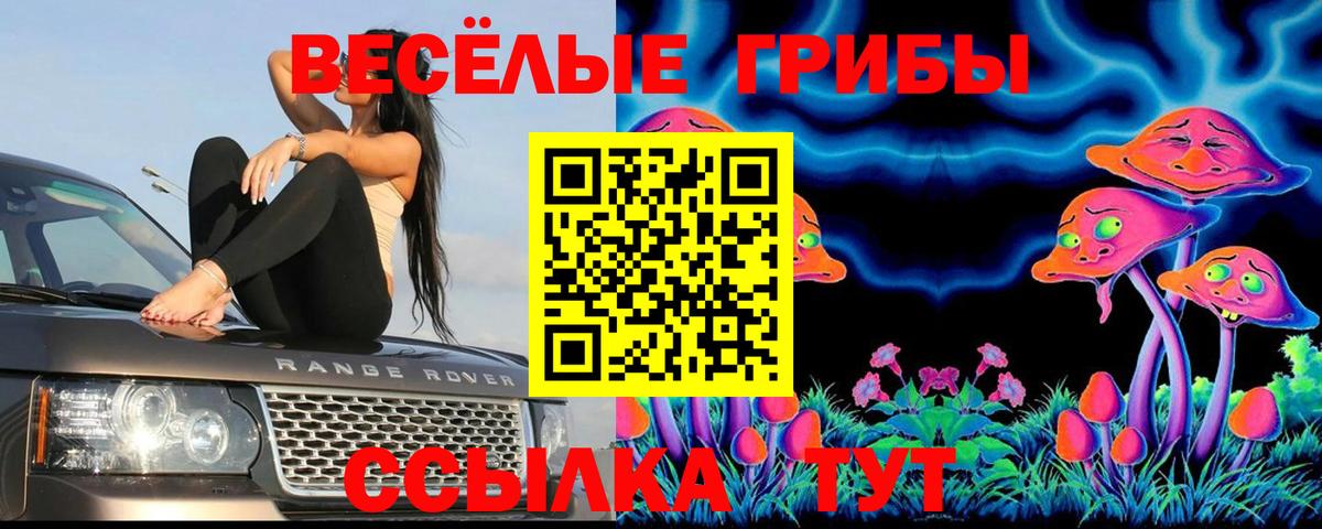 цены наркотик  Галлюциногенные грибы мухоморы  Вход с VPN  Саров  Галлюциногенные грибы мухоморы 